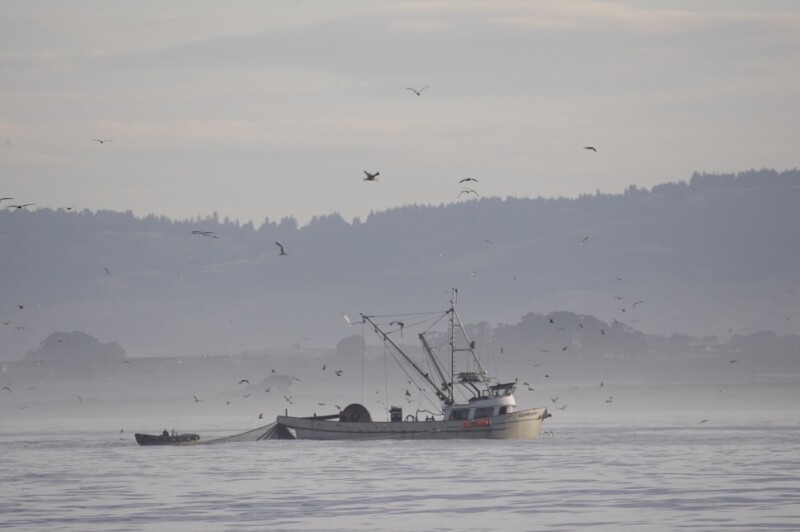 VMI data used to study marine heatwaves may also monitor ecosystem health